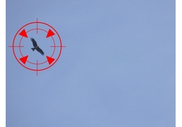 focus onのイラスト